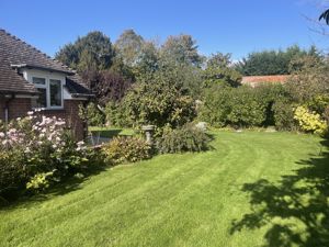 Photo 46- click for photo gallery